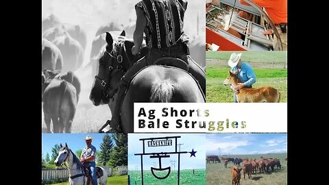 Bale Struggles - Ag Shorts