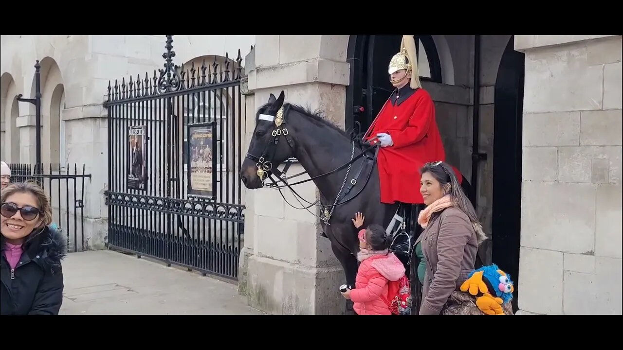 The Horse loved the little girl but birs the older one #horseguardsparade