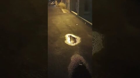 Online #gangstalkers want a petition to have me mentally institutionalized & banned from Pensacola