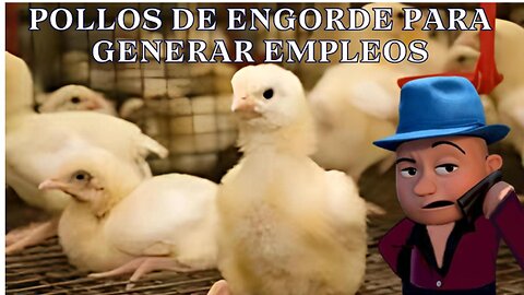 [05DIC2024]| POLLOS DE ENGORDE PARA GENERAR EMPLEOS | [EL GOCHO]