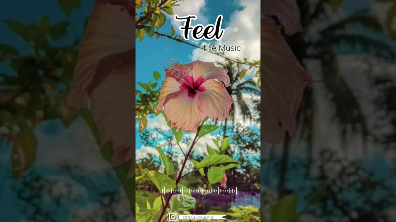 πΊπ¦β¨π₯....#edit #editing #explore #explorepage #instagram #lou #love #reelkarofeelkaro