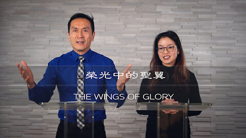 曾子雨 : 榮光中的聖翼| Chellis Tsang: The Wings of Glory