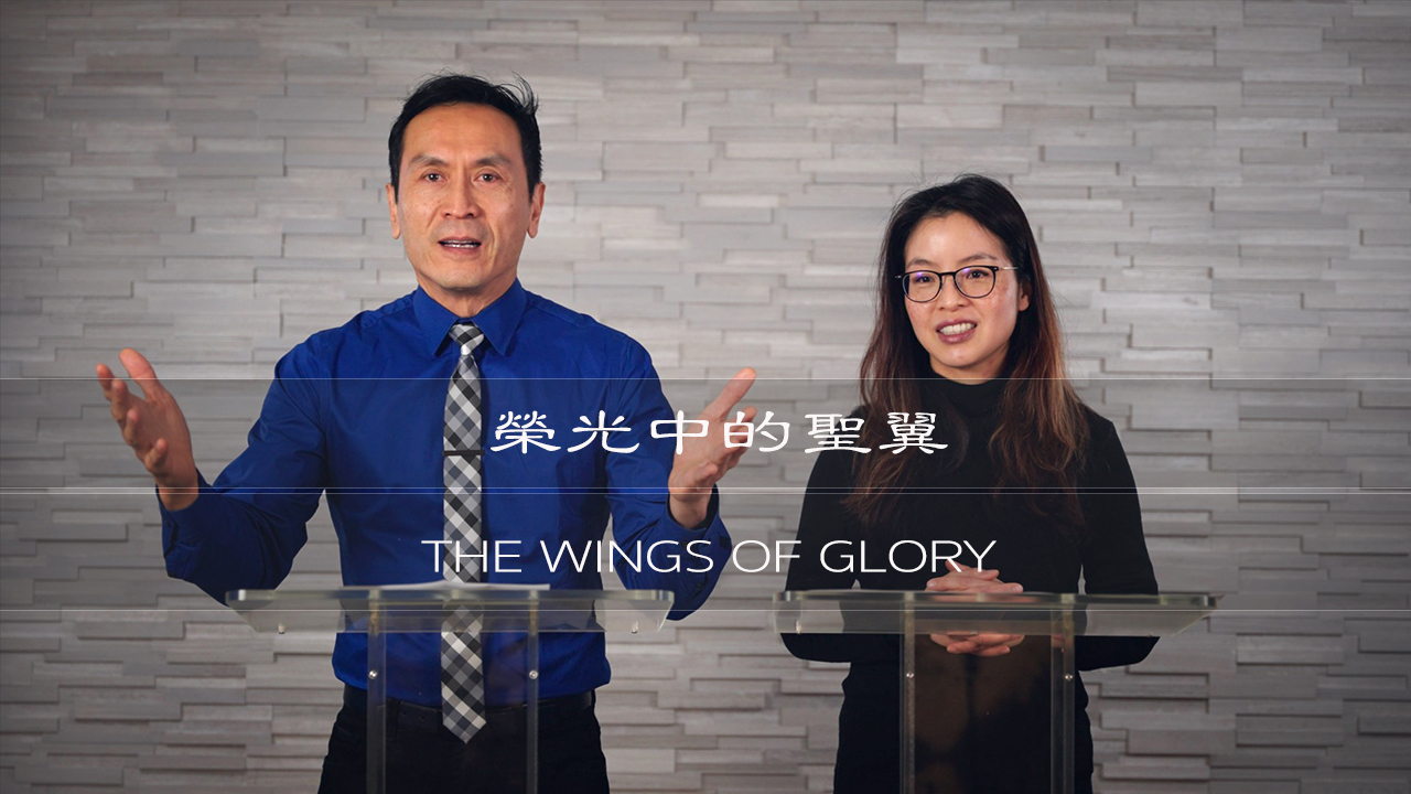 曾子雨 : 榮光中的聖翼| Chellis Tsang: The Wings of Glory