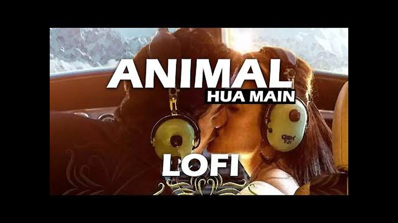 Hua Main (Slowed + Reverb) | Raghav Chaitanya, Pritam | Animal |