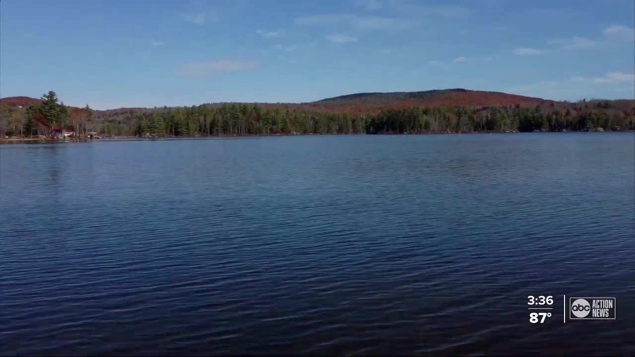 Voting for the environment in the 2020 election