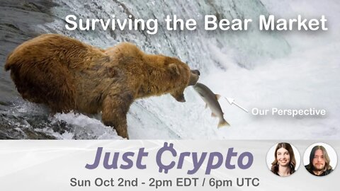 Surviving the Bear Market