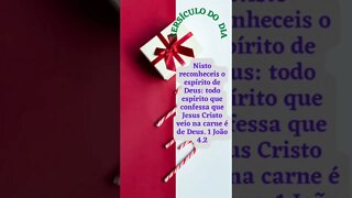 VERSÍCULO DO DIA 04/12/2022.#shorts