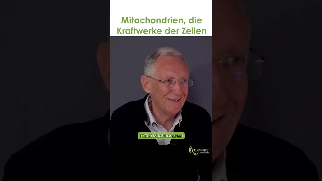 Mitochondrien - die Kraftwerke in den Zellen