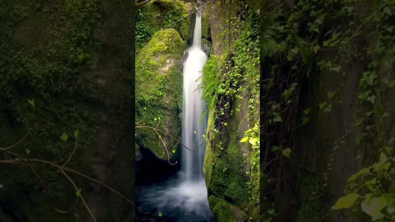 Waterfall Timelapse ⏳🥰 #shorts #waterfall #timelapse