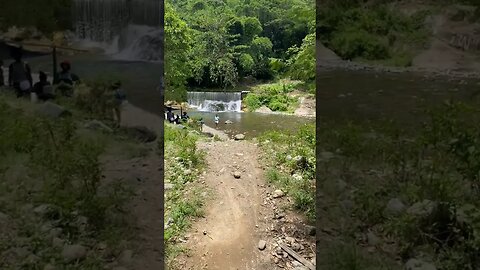 Hidden River in St.Thomas #shortsvideo #shortsfeed #jamaica #nature #travel #youtubeshorts #shorts