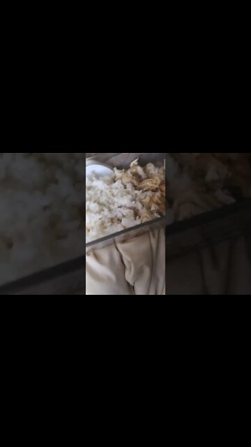 having lunch with my kitty 😺