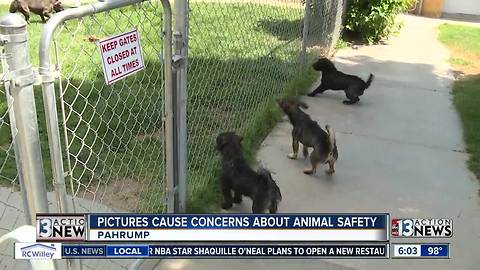 Pictures cause concerns about safety at Pahrump shelter