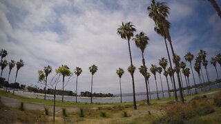 Blasian Babies DaDa Ventura Cove Park Afternoon (1440 Time Lapse Surf Filter)