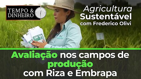 Avaliação nos campos de produção com Riza Sementes e Embrapa