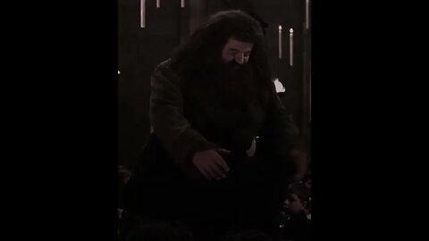 “There's no Hogwarts without you hagrid” #hagrid #hagridedit #robbiecoltrane #riphagrid #fyp❤️❤️❤️🥹