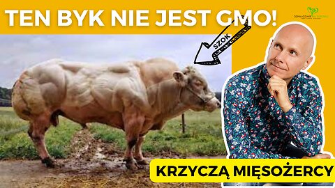 Dlaczego człowiek modyfikuje swoje jedzenie 🐮🐷🎋🥔🍅 ?? Czy to jest antywegański argument 🤔💯