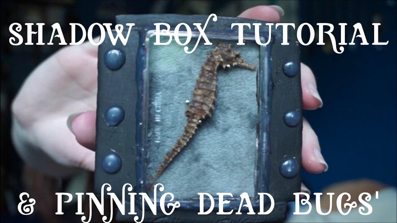 Shadow Box Tutorial & Pinning Dead Things