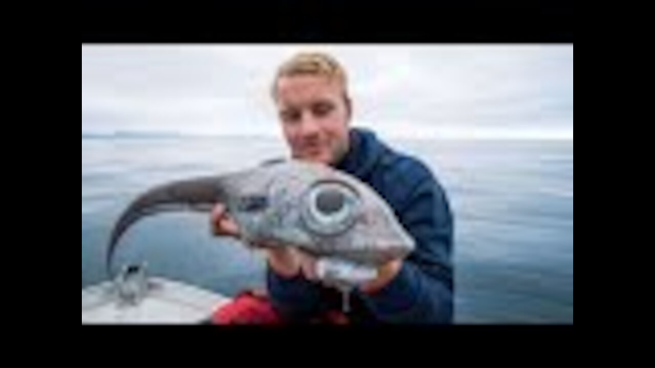 Fisherman Catches One Of The Most Terrifying Creatures Of All Time