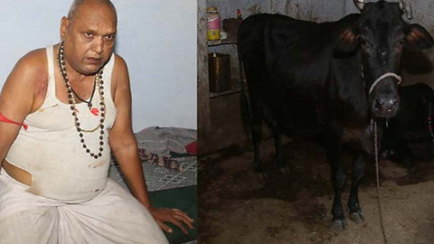 COW tries to stop thugs stabbing young Indian girl to death in 'honour killing'