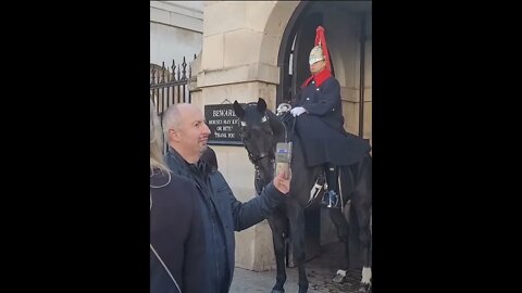 Horse may kick or bite #horseguardsparade