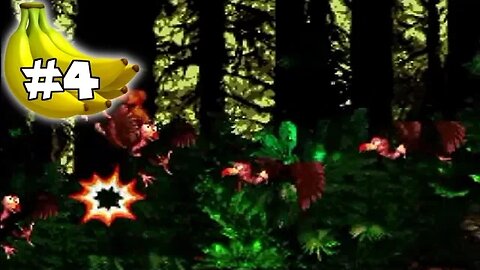 Donkey Kong Country 101% Walkthrough Redo Part 4: Getting The Bird