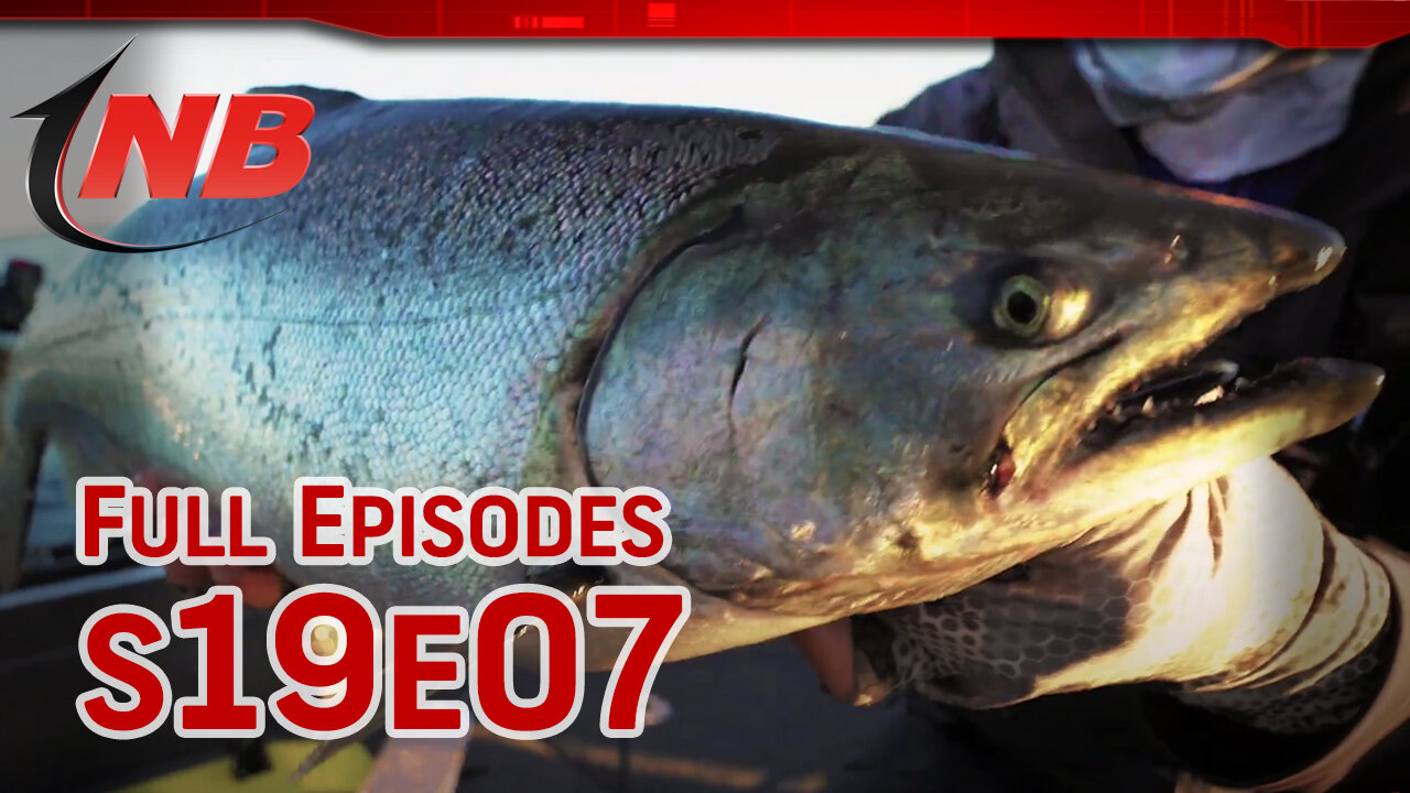 Season 19 Episode 7: The Kings of Lake Michigan!