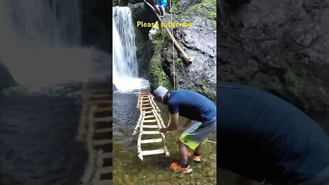 The ladder