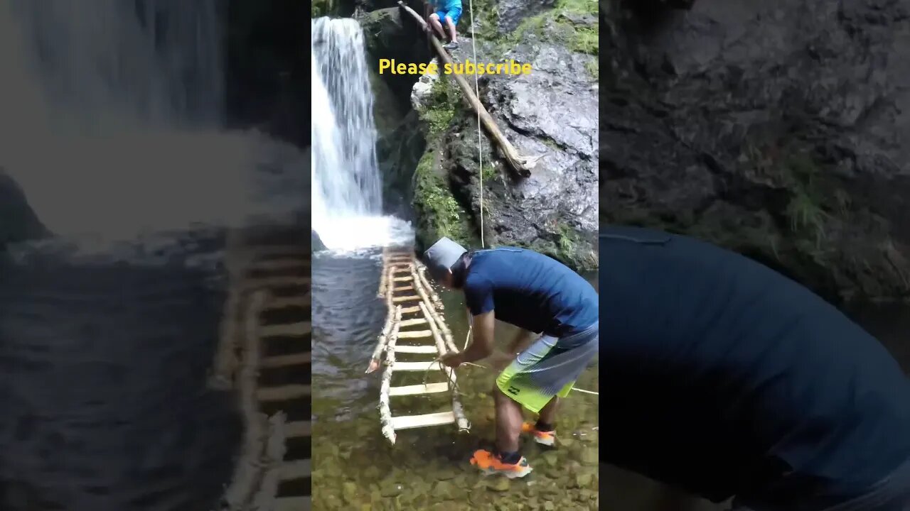 The ladder