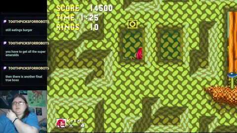 SONIC! ...and ... knuckles?