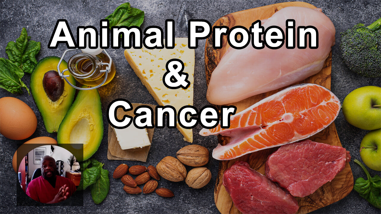 Animal Protein Is One Of, If Not The #1 Risk Factor For Developing Cancer When It Comes From Diet