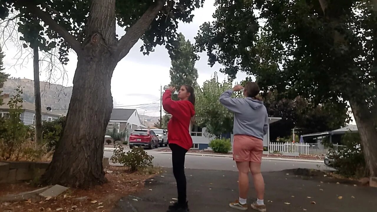 sprite challenge pt3