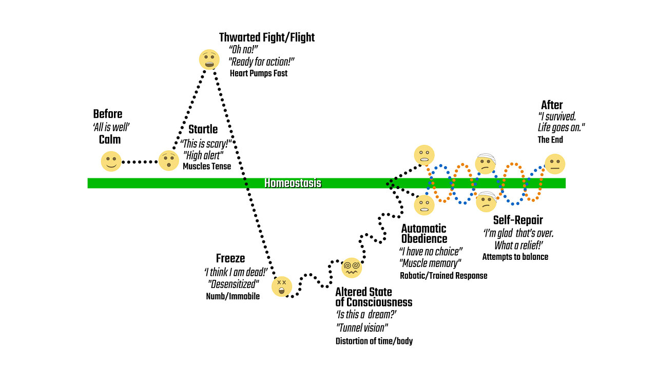 What is ITR®?