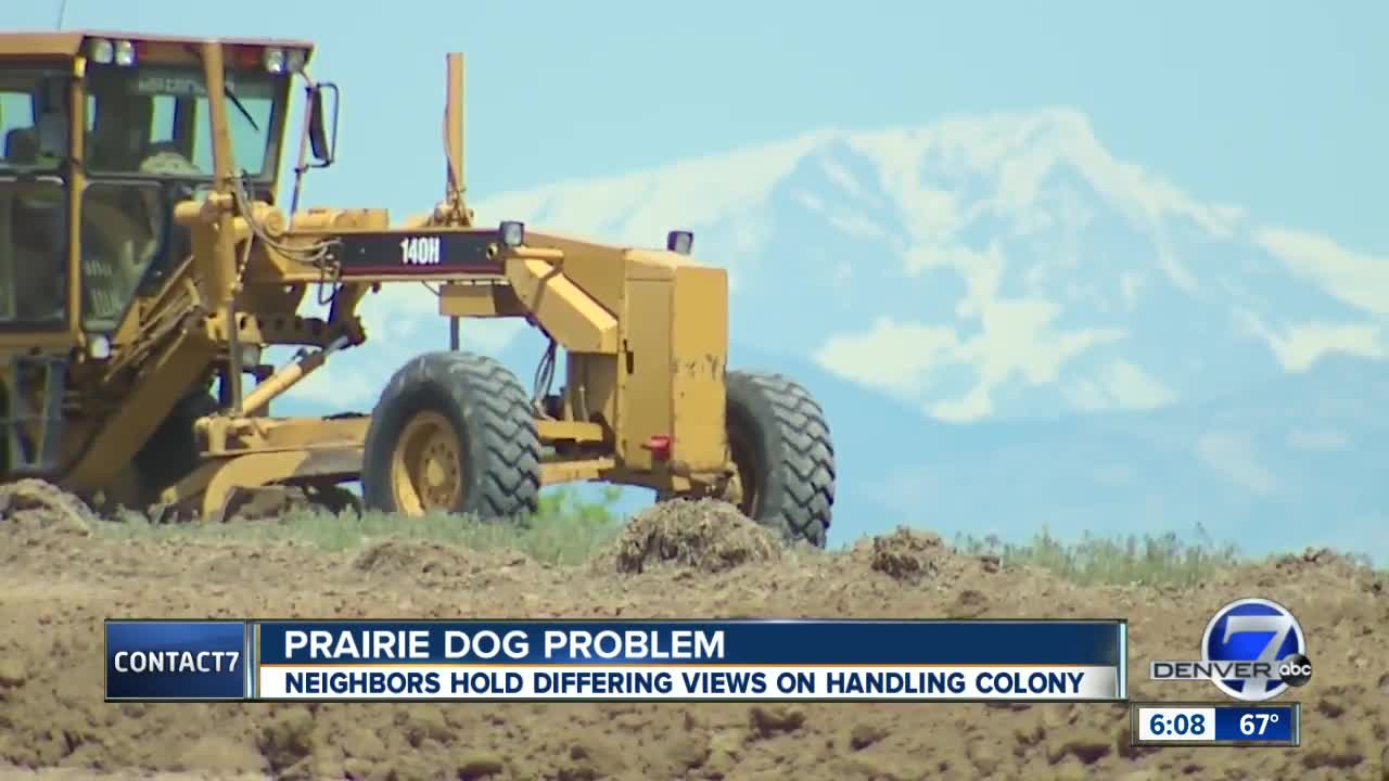 Neighbors at odds over prairie dog colony and new development in Weld County near Broomfield