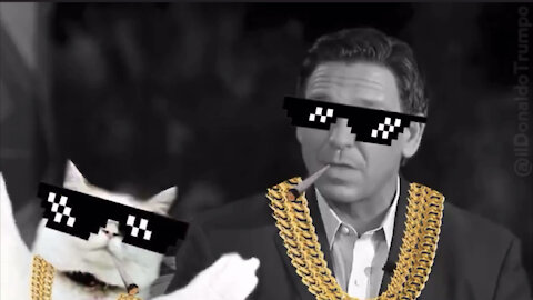 Cat Turd and Ron DeSantis