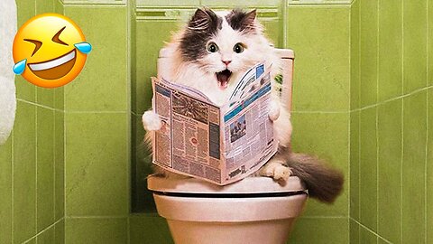 Hilarious Animal Clips 2023 😂 - Most Amusing Cats and Dogs Compilation 😺😍