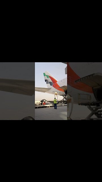 cricket world cup ✈️