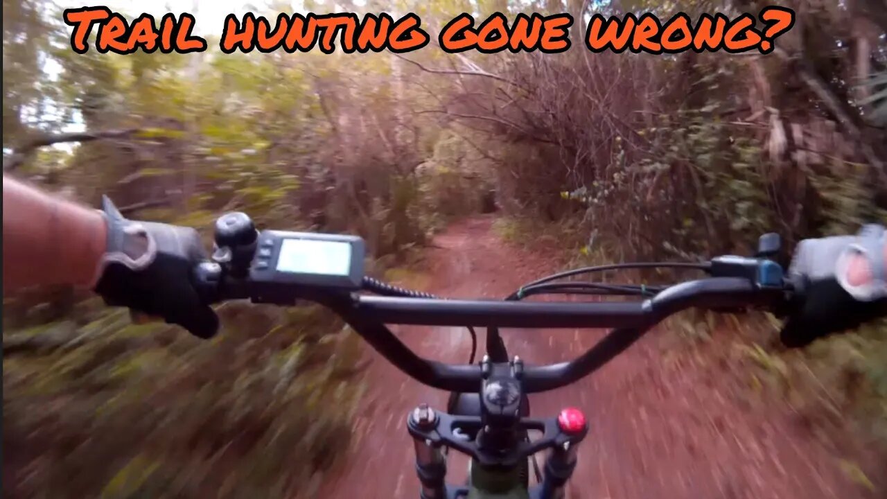 Florida trail search featuring the Freego F1