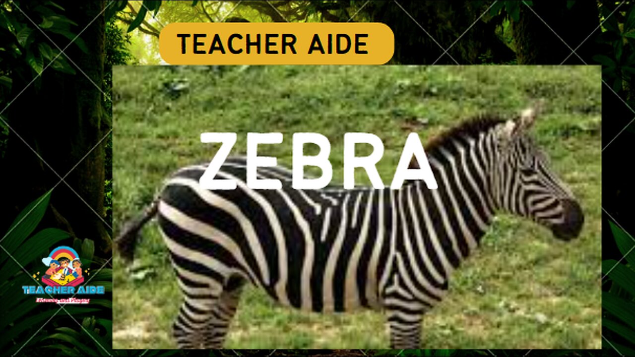 Information about | Zebra | Teacher Aide