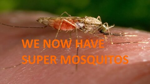 Now Super mosquitos Now?! WTF Florida keys Didn't work