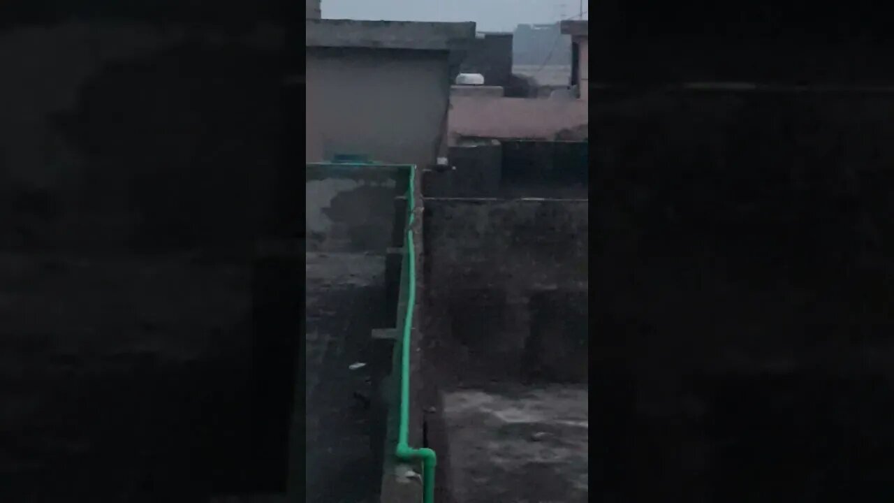 Three baby owls are sitting at the wall #evening