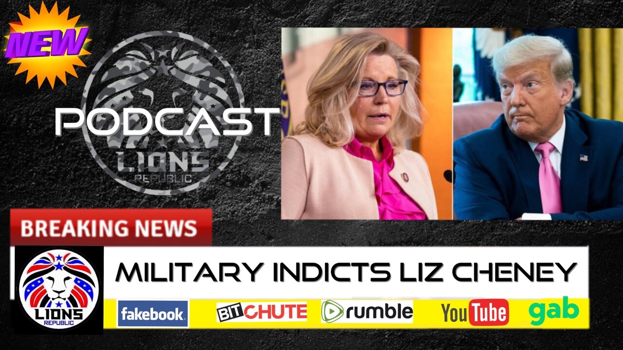 MILITARY INDICTS LIZ CHENEY