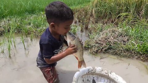 Amazing hand fishing