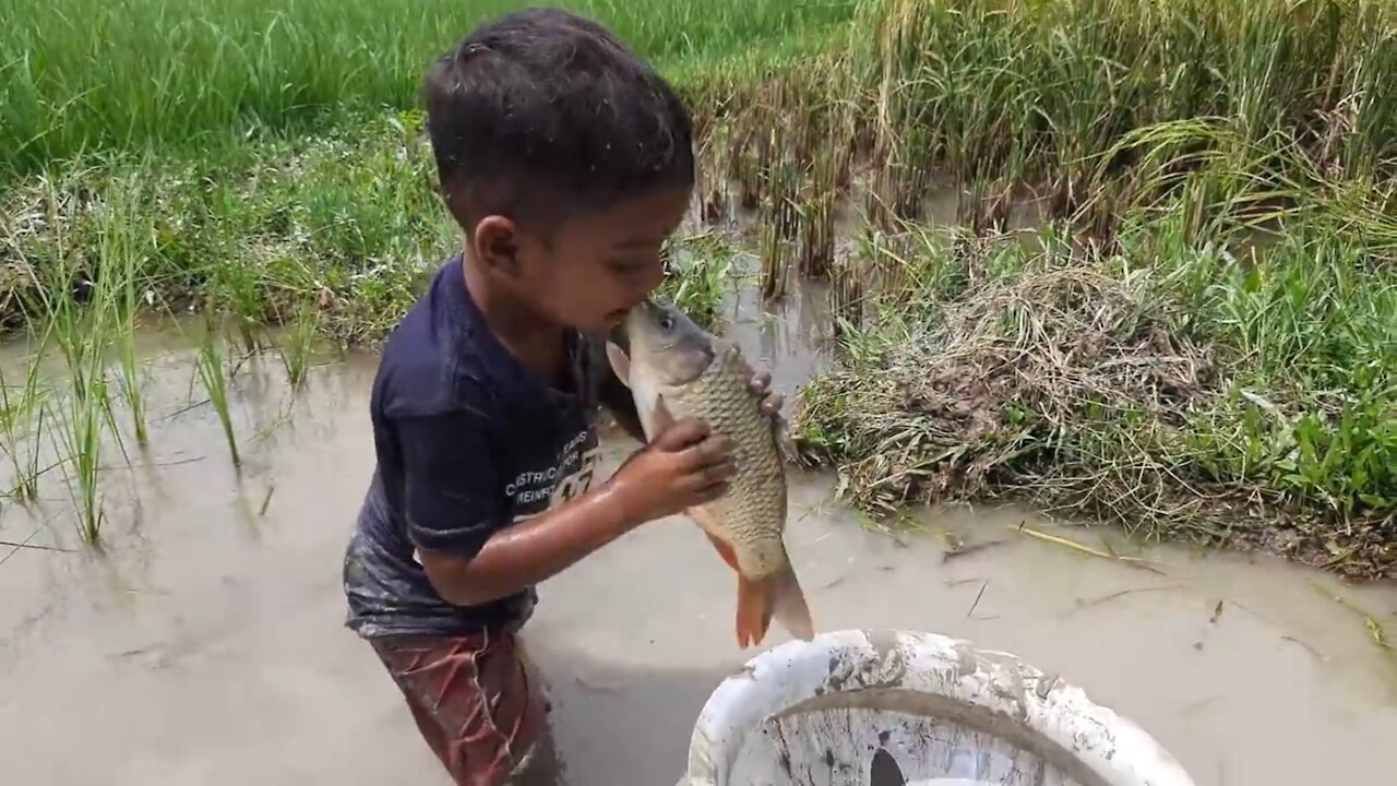 Amazing hand fishing