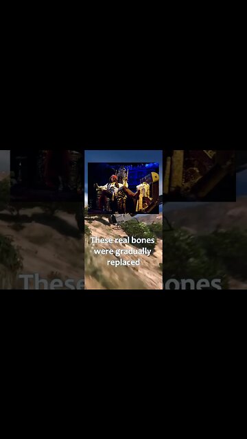 Disneyland’s famous Pirates of the Caribbean ride used real skeletons #shorts