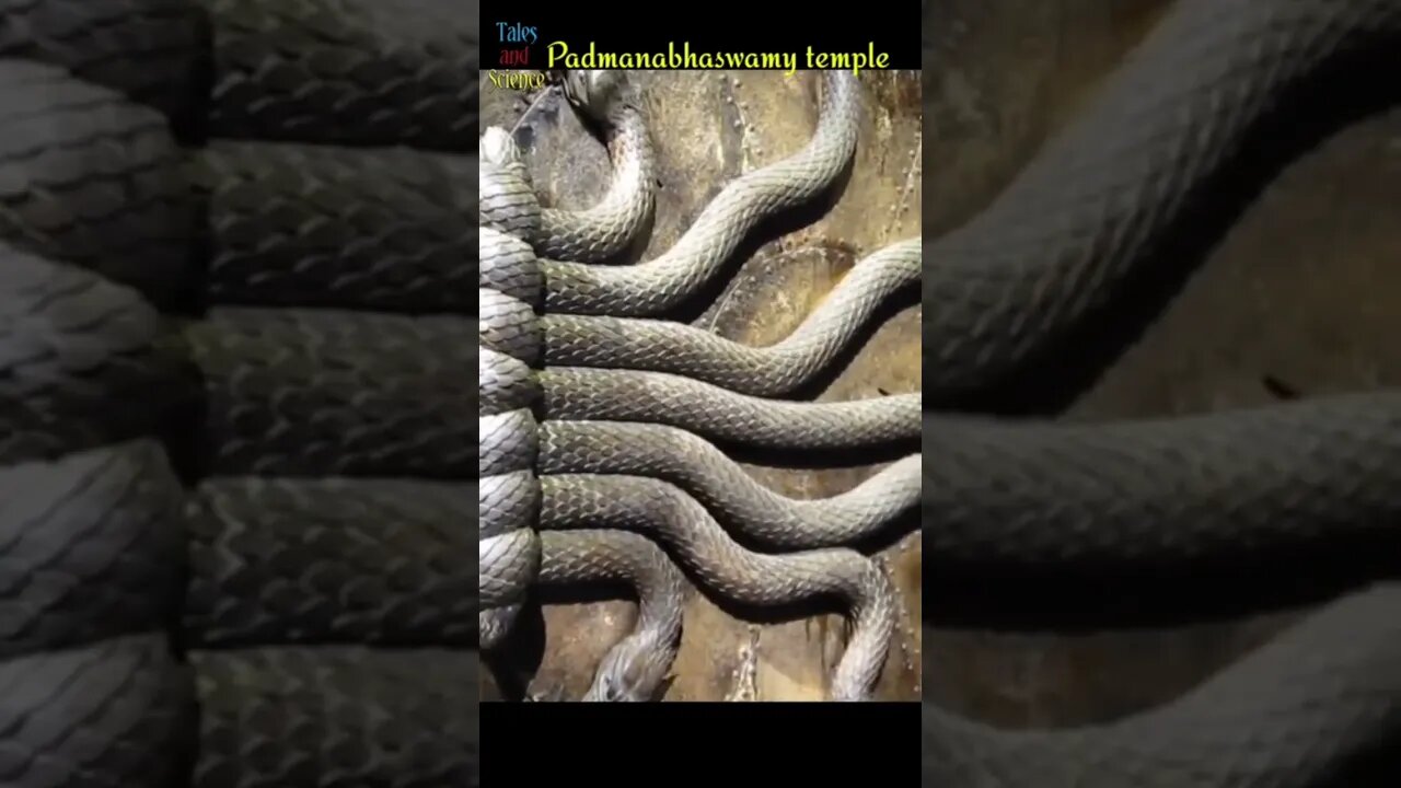 mysterious of padmanabhaswamy temple #youtubeshorts #viral #fitness