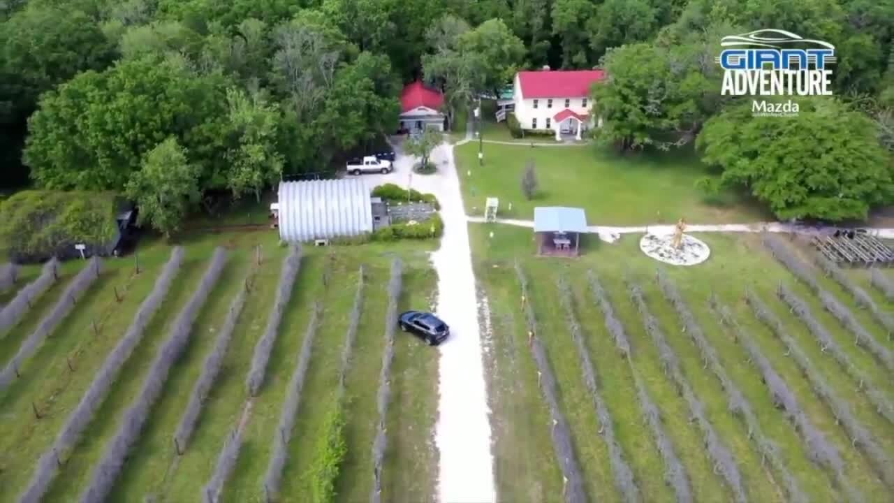 Giant Adventure Bunker Hill Winery | Morning blend