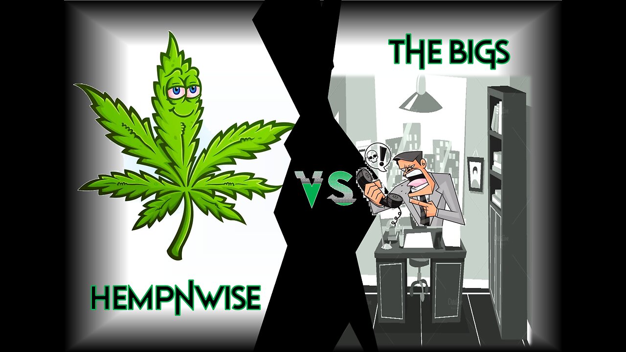 HempNWise vs The Bigs | A Fireside Reading