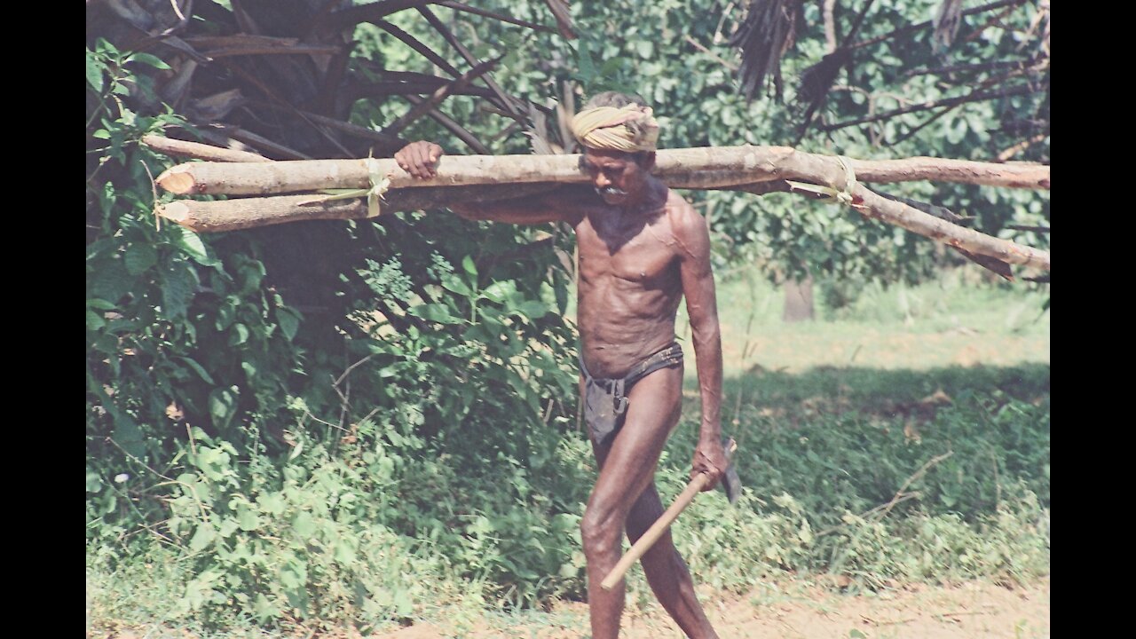 THE KOYAS (Part-2)