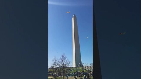 Kite Festival @ DC #shorts