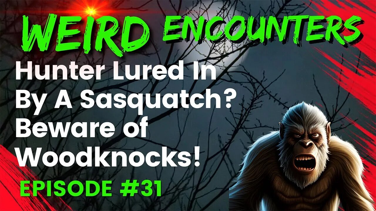 Hunter Lured In By Sasquatch? Beware Of Wood Knocks! | Weird Encounters #31